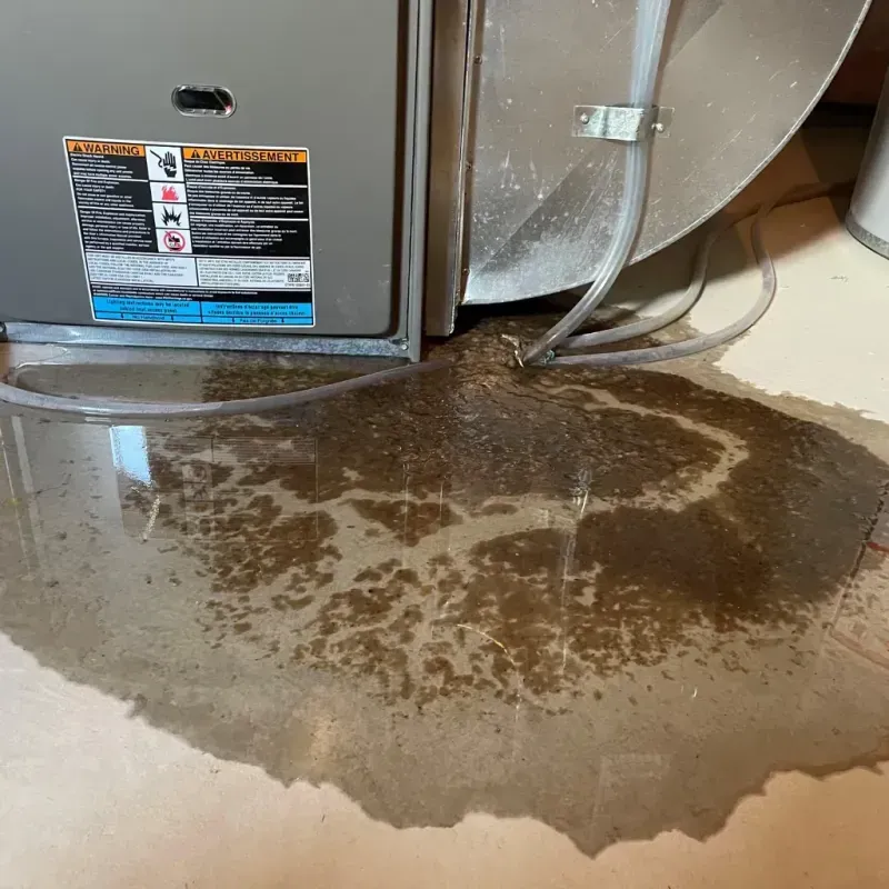 Appliance Leak Cleanup in De Forest, WI